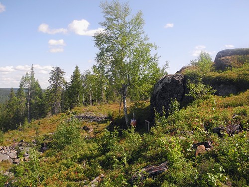 summer sport finland landscape geotagged july orienteering op fin pudasjärvi 2014 suunnistus orientering pikkusyöte 201407 pohjoispohjanmaa 20140727 syötesuunnistus geo:lat=6563241837 geo:lon=2770219803