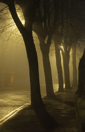 street uk light mist tree fog night fence lancashire lancaster horsechestnut golgotha williamsonpark williamsonspark wyresdaleroad