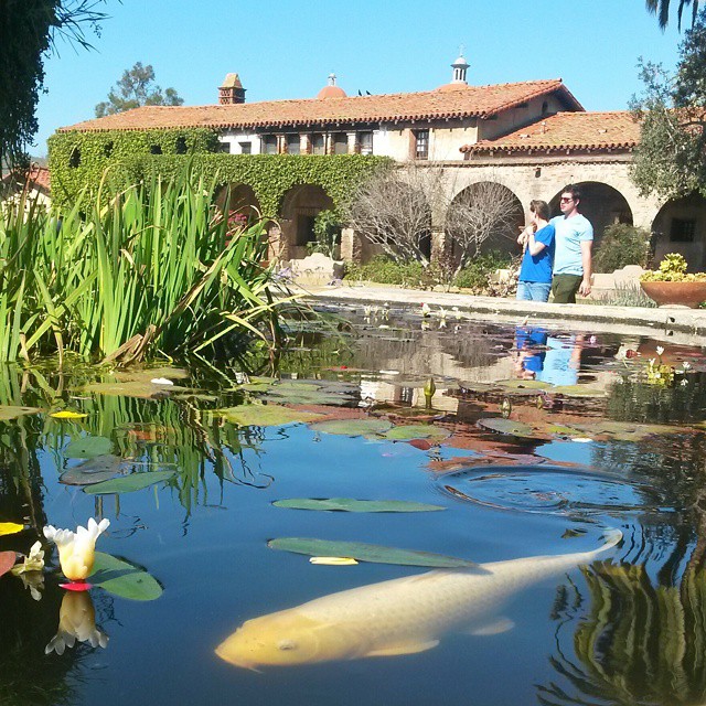 Hello there (not so) little fish! #MissionSanJuanCapistrano #California