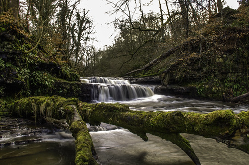 trees tree water river scotland waterfall bush fallen dalry ayrshire pentaxkr linnfalls linnglen brianmcdiarmid