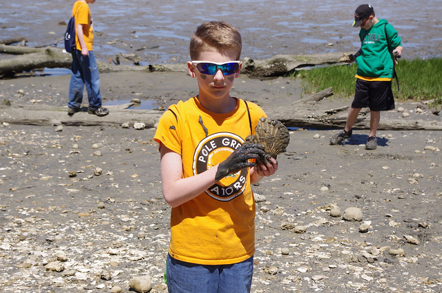 Fossil hunters come in all shapes and sizes - York River State Park
