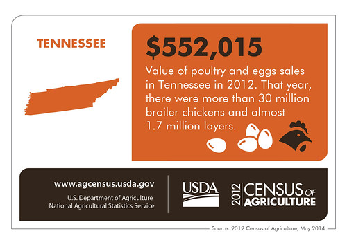 The Volunteer State’s motto is “Agriculture and Commerce,” and the results of the 2012 Census of Agriculture show why.  Check back next Thursday for another look at another state and the 2012 Census results.