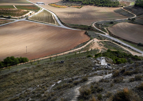 the brown fields of Penafiel, Spain