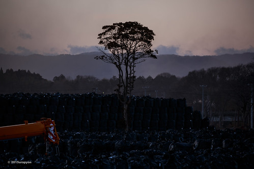 winter orange tree japan canon landscape tsunami 日本 冬 空 fukushima 2015 福島 福島県 津波 eos5dmarkⅲ eos5dmark3 双葉郡 ef100400mmf4556lisⅱusm