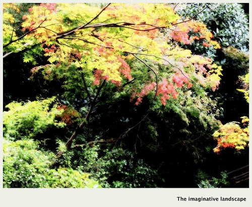 tree nature japan garden temple autumnleaves yamato taima 大和 katsuragi 當麻寺 葛城 olympuspenep3 ealabo theimaginativelandscape fuwaryôsuke 香藕園 後西院帝