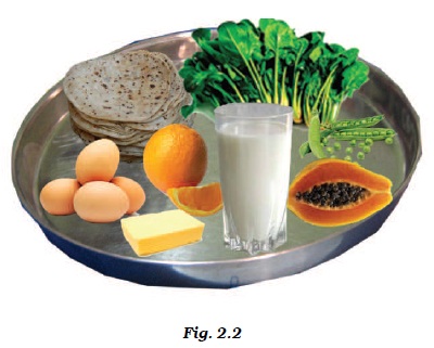 Components of Food/