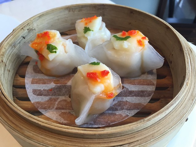 Marco Polo dumplings