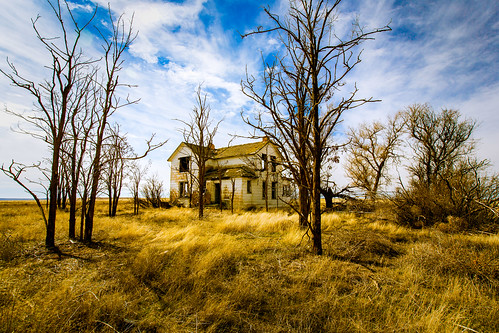 trees abandoned decay abandonedhouse deteriorated adamscounty