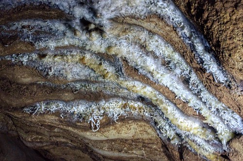 victoria limestone cave veins buchan calcite gippsland devonian royalcave buchancaves curlygrowth