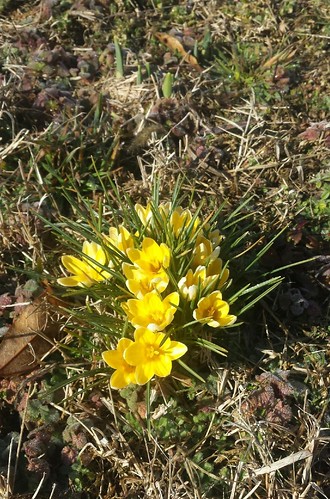 Yay, spring!