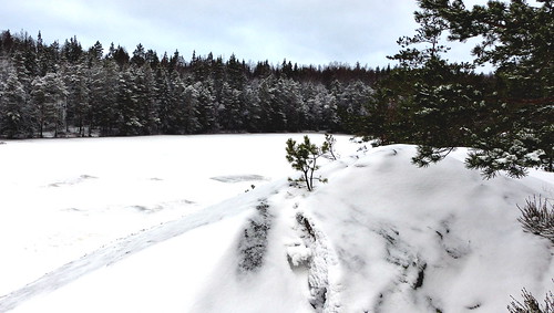 winter lake snow forest espoo finland geotagged january fin uusimaa 2015 nyland esbo luukki luukkaa hauklampi fz200 201501 geo:lat=6033503928 geo:lon=2468632457 luukinulkoilualue luukkirecreationarea 20150104