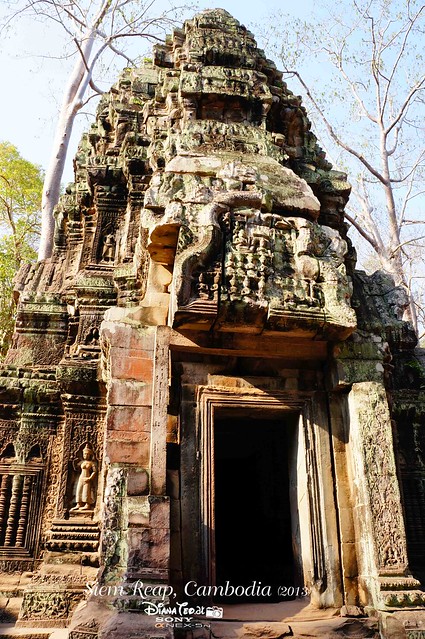 Siem Reap, Cambodia Day 2 - Ta Prohm Temple 03