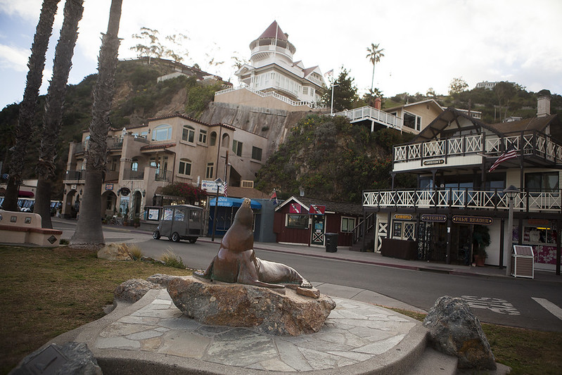 Catalina Island, March 2015