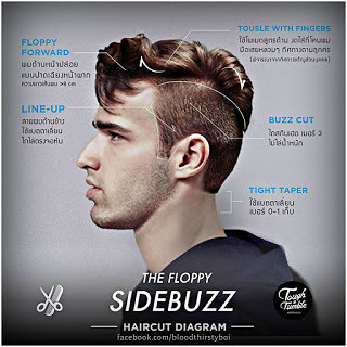 floppy-sidebuzz-haircut-diagram
