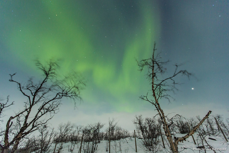 Auroras Boreales en Noruega-63