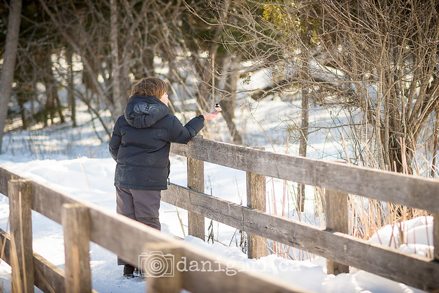 Winter walk on the Jack Pine Trail