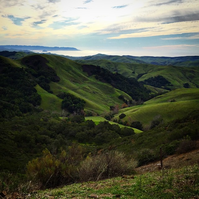Hills of Paso Robles
