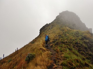 Guide Rafael on Summit Ridge of Fuya Fuya