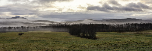 wood trees sky panorama norway misty fog landscape nikon norwegen landschaft senja troms d800e