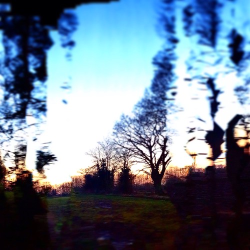 trees winter sunset sky apple panoramic 5c iphone iphoneography instagram