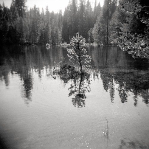 california trees blackandwhite bw reflection 120 film water mirror holga unitedstates kodaktmax400 selfdeveloped pollockpines gerlelake d761168d1025min 20150221aug2013gerle