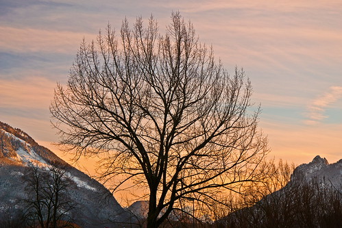 sunset sky alps tree germany bayern deutschland bavaria evening abend sonnenuntergang january himmel alpen baum januar untersberg berchtesgadenerland piding lattengebirge schlafendehexe berchtesgadeneralpen nikond3100