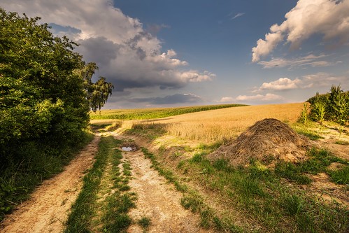 haystack road dirt corn moravian trees tree sunset sunlight summer spring sky season scenic scenery rural plant outdoor nature landscape land idyllic horizon green grass forest field farm evening environment day countryside country cloudy clouds cloud beauty beautiful background agriculture