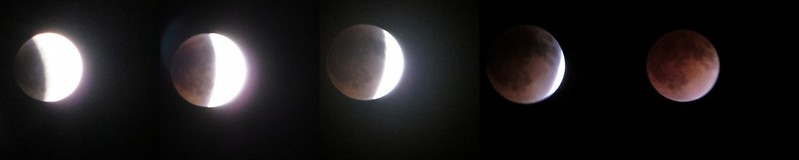 Lunar Eclipse Montage