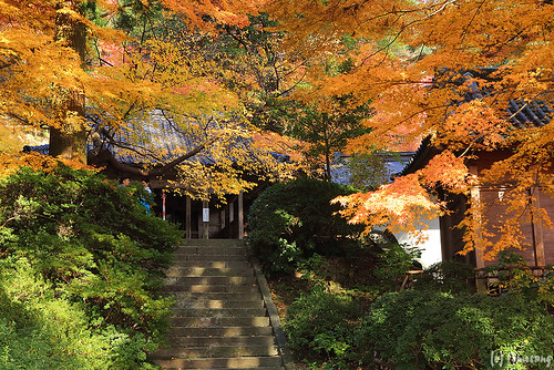 Daikouzenji Temple