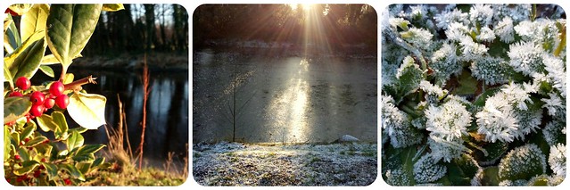 Winter walk/frozen lake