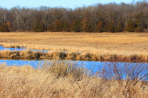 county cardinal reis iowa larry marsh winneshiek