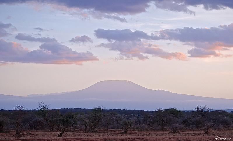 De Monte Kenia al Kilimanjaro. Un viaje agotador de 12 horas. - 12 días de Safari en Kenia: Jambo bwana (26)