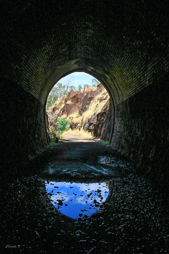 tunnel westernaustralia railwaytunnel johnforrestnationalpark swanviewtunnel