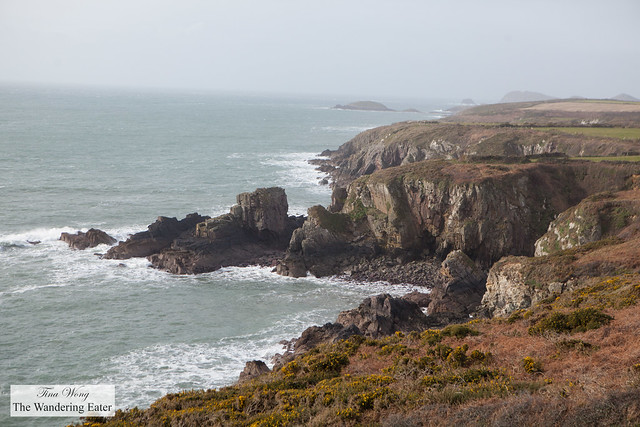 Walking along the Coast Path about 20 minutes from St. David's