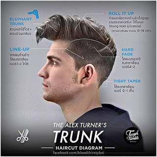 alex-turners-trunk-haircut-diagram