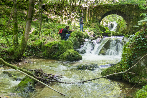 civil eau environnement france lot midipyrénées patrimoinehistoriqueetculturel ruisseau terrou nature pont