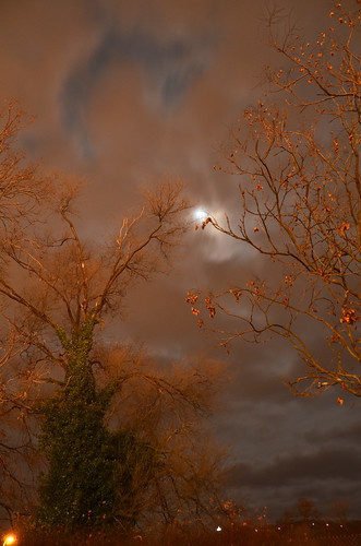 trees sky moon night clouds virginia nikon outdoor va roanokeva yabbadabbadoo d7000 tamron18270 nikontamron nikond7000 tamron18270mmf3563diiivcpzd