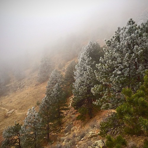 Cloudy Arthurs Rock Trail