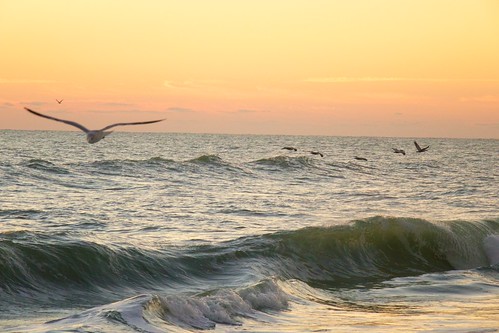 ocean beach sunrise dawn surf florida indialantic