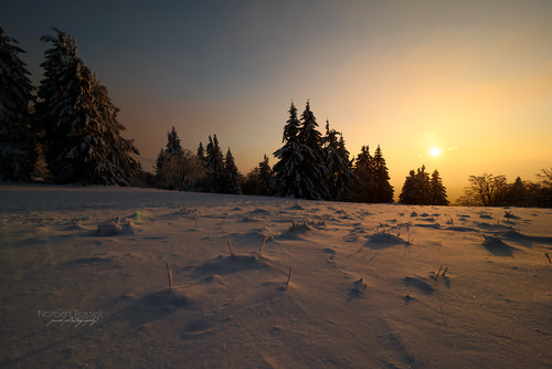 schnee sunset sun snow sonnenuntergang sonne nikond800