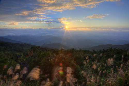 morning travel pink light sky mist mountain mountains color sunshine fog night clouds sunrise canon landscape photography dawn lights twilight day ray view image cloudy sightseeing taiwan atmosphere valley stunning taipei rays nightview temperature 自然 夜景 hdr magnificent 風景 attraction freshness crepuscularrays pinkclouds crepuscular 台北市 五指山 nightcity 汐止 晨曦 耶穌光 colortemperature 霧 清晨 雲霧 山景 芒草 山谷 芒花 晨景 嵐 山色 eccezionale 色溫 霞光 rosyclouds 彩霞 風景攝影 台灣風景 上帝之梯 色溫攝影 晨霞 谷景 平流霧 丁達爾效應