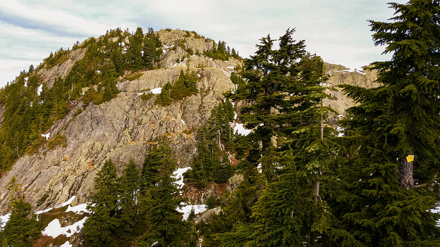 Mt. Seymour