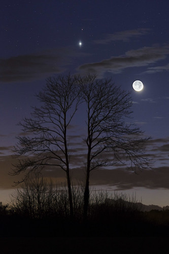 light panorama mars moon france tree lune twilight venus pillar halo bretagne planet astronomy solarsystem colonne earthshine conjunction pluguffan venuspillar