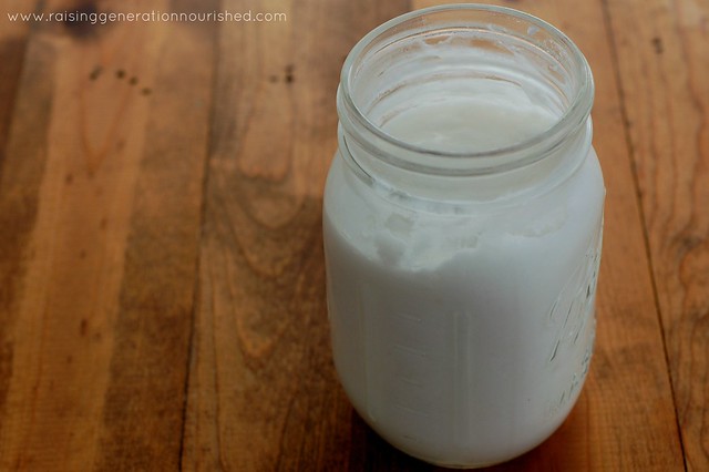 Coconut Yogurt :: 3 Ingredients, No Cooking, & A Great Probiotic Rich Dairy Free Alternative!