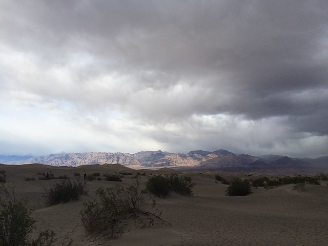 Seen on my ride - Death Valley