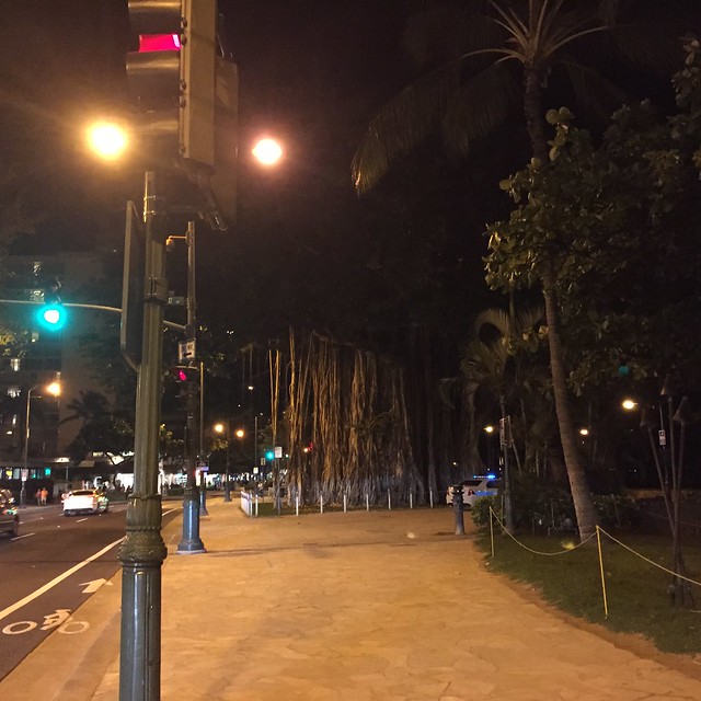 Banyan Tree, Waikiki