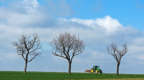 trees tractor field spring farming agriculture