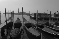 Venice - Gondolas