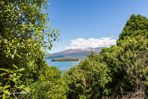 newzealand lake water landscape volcano waikato landscapephotography outdoorphotography otukou