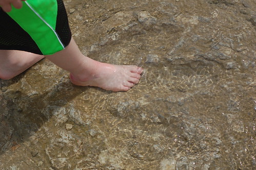 100 million year old dino footprint #2